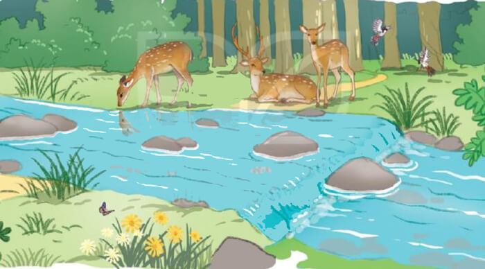 Bài 3: Cánh rừng trong nắng - Phần đọc