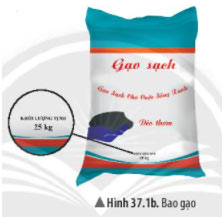 Giải KHTN lớp 6 bài 37 Hình 37.1b