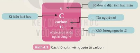 Hình 4.1 SGK KHTN 7 Kết nối tri thức