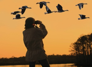 Ôn tập hè Tiếng Anh 7 lên 8 số 2