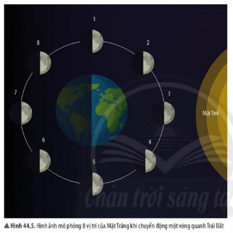 Giải KHTN lớp 6 bài 44 Hình 44.5