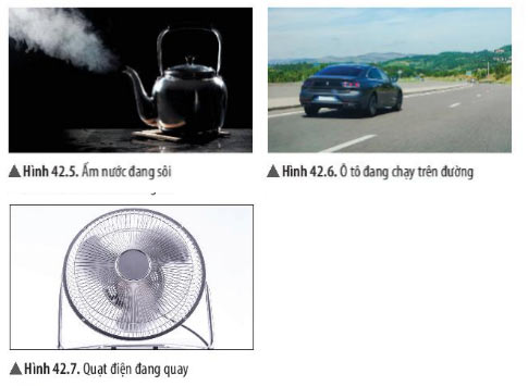 Khoa học tự nhiên lớp 6 bài 42 Hình 42.5, 42.6, 42.7