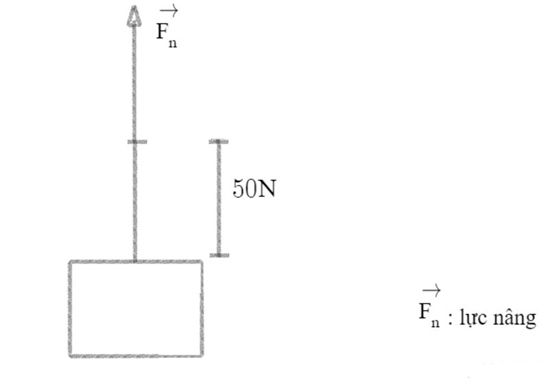 KHTN lớp 6 b&agrave;i 35 Lực