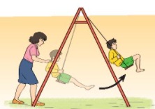 Giải KHTN lớp 6 bài 48