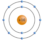 Bài 4 trang 26 SGK KHTN 7 Cánh diều