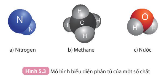 Hình 5.3 SGK Khoa học tự nhiên 7 Kết nối tri thức