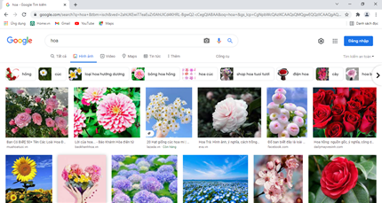 Giải Tin học lớp 6 Cánh Diều