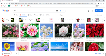 Giải Tin học lớp 6 Cánh Diều