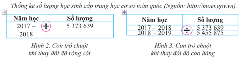 Trình bày thông tin ở dạng bảng