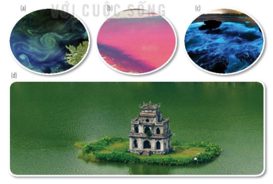 Giải Sinh 10 bài 20