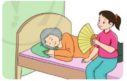 Quạt cho bà ngủ