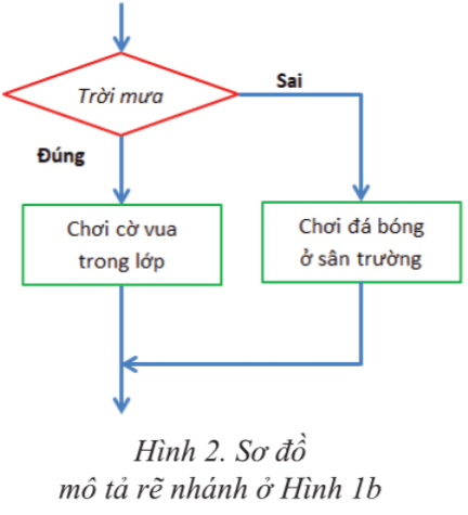 Cấu trúc rẽ nhánh trong thuật toán