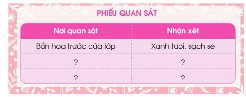 Quan sát lớp học