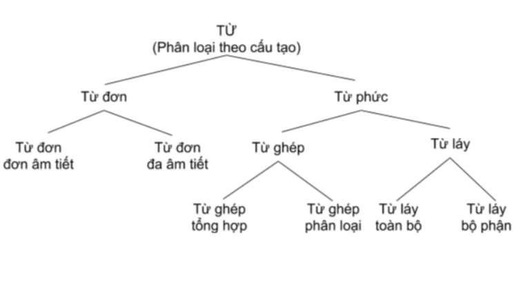 từ ghép