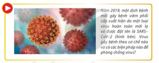 Giải Sinh 10 Bài 25