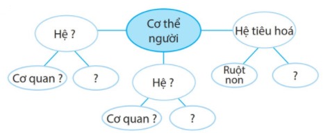 Bài 13 Từ tế bào đến cơ thể