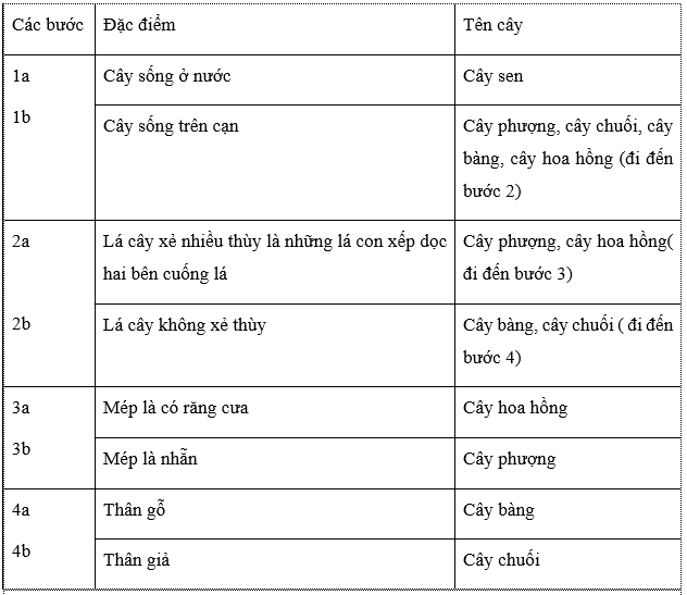 Khóa lưỡng phân