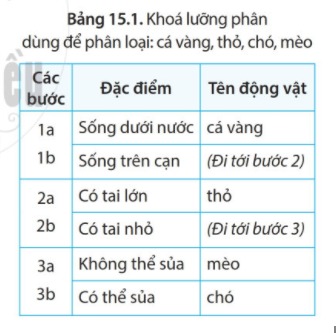 Bài 15 Khóa lưỡng phân