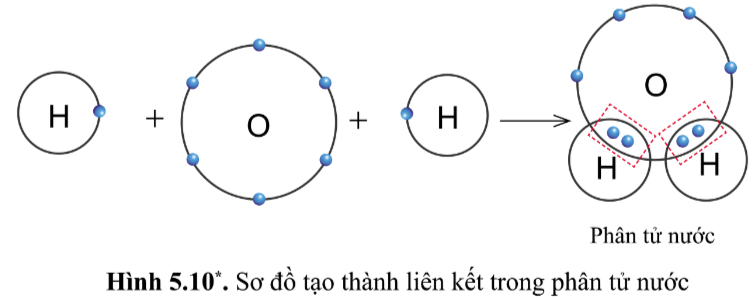 Hình 5.10 KHTN lớp 7 Cánh diều