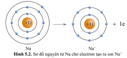 Hình 5.2 KHTN lớp 7 Cánh diều
