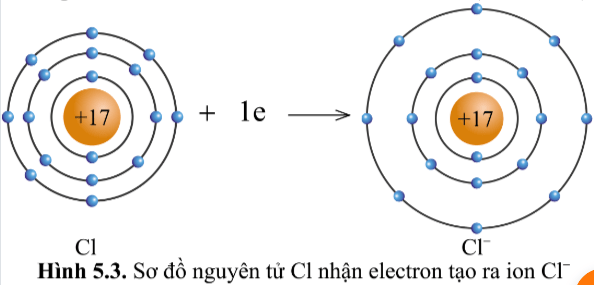 Hình 5.2 Khoa học tự nhiên 7 Cánh diều