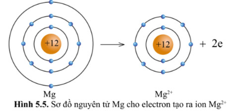 Hình 5.5 KHTN lớp 7 Cánh diều