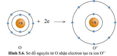 Hình 5.6 KHTN lớp 7 Cánh diều