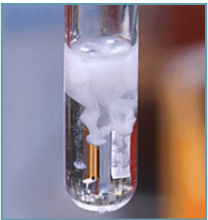 BaSO4 kết tủa màu gì