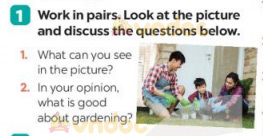 Soạn Unit 1 lớp 7 Skills 1