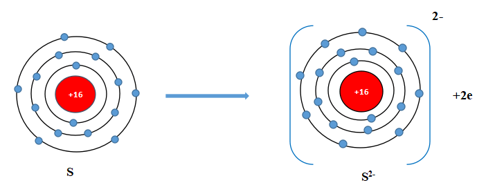 Sơ đồ h&igrave;nh th&agrave;nh sulfide 