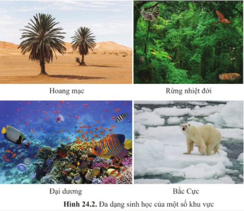 Đa dạng sinh học