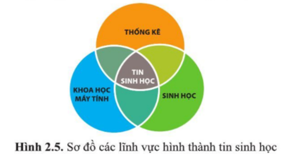 Giải Sinh 10 Bài 2 CD