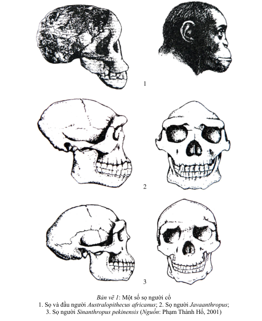 Người nguy&ecirc;n thủy