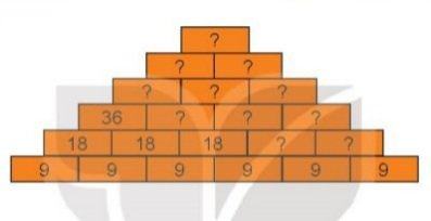 Toán lớp 3 trang 24, 25, 26, 27 Bài 8: Luyện tập chung | Kết nối tri thức