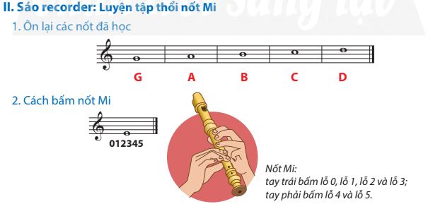 Nhạc cụ trang 8, 9 SGK Âm nhạc 7 CTST