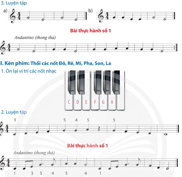 Nhạc cụ trang 8, 9 SGK Âm nhạc 7 CTST