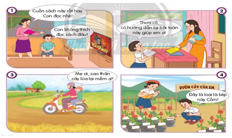 Đạo đức lớp 3 trang 16, 17 Luyện tập | Chân trời sáng tạo