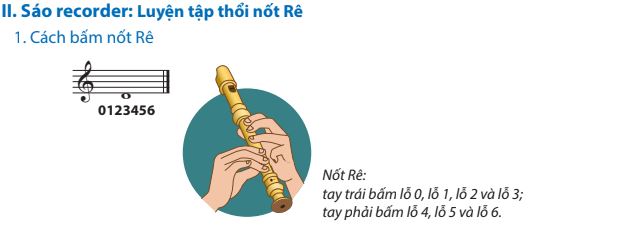 Nhạc cụ trang 14, 15, 16 SGK Âm nhạc 7 - Chân trời sáng tạo
