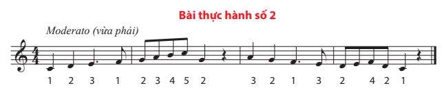 Nhạc cụ trang 14, 15, 16 SGK Âm nhạc 7 - Chân trời sáng tạo