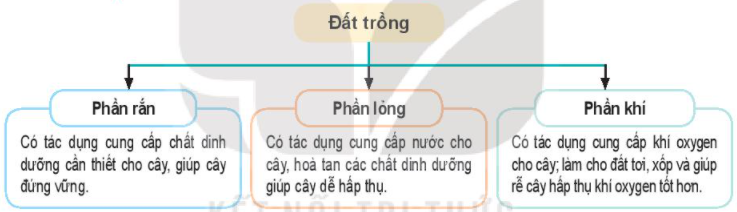 Công nghệ 7 bài 2