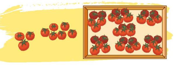 Bài 1 trang 34 Toán lớp 3 tập 1 Chân trời sáng tạo