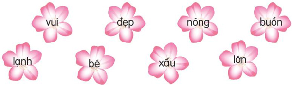 Bài 26: Đi tìm mặt trời - Luyện tập