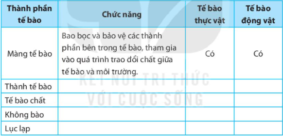 Bài 19 Cấu tạo và chức năng các thành phần của tế bào