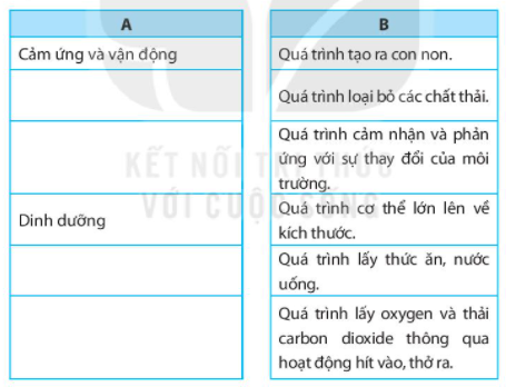 Bài 22. Cơ thể sinh vật
