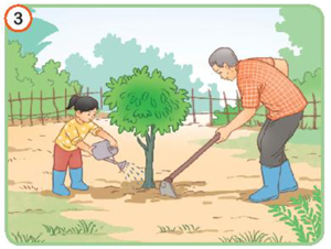 Ôn tập và đánh giá cuối học kì 1 - Tiết 5