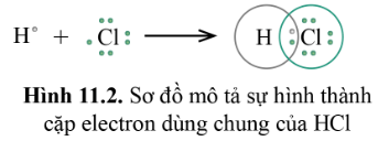 Hình 11.2 SGK hóa 10 cánh diều