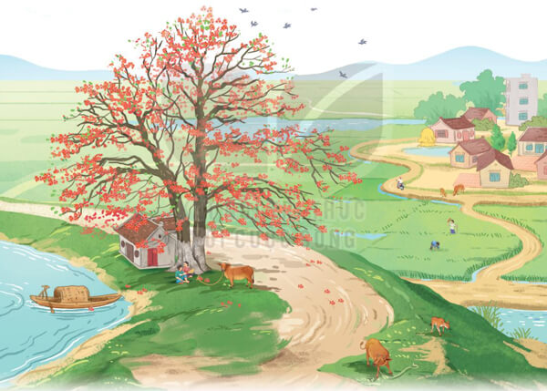 Bài 6: Cây gạo - Phần đọc