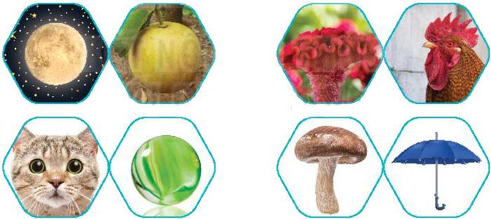 Bài 6: Cây gạo - Luyện tập