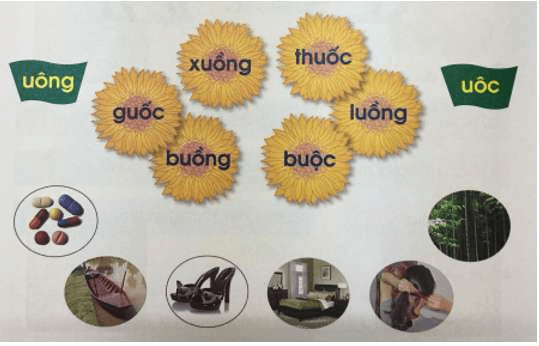 tìm từ có vần uông