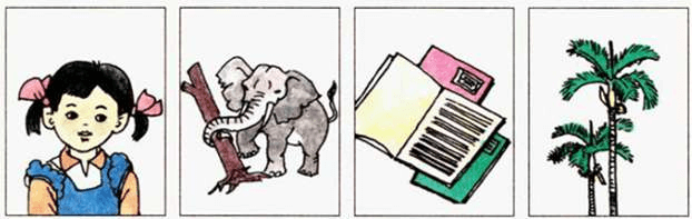 Từ chỉ đặc điểm là gì?